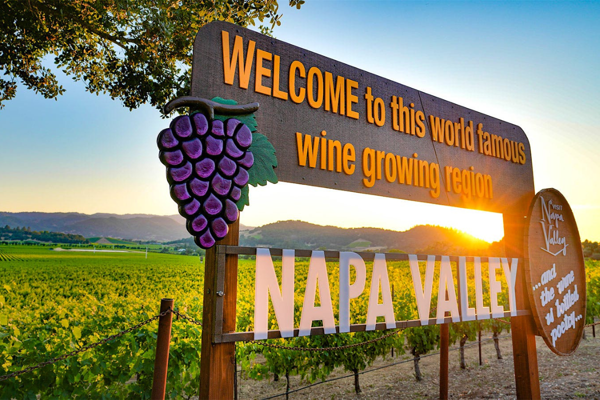 Shaping the Legacy of California Wine, One Bottle at a Time.