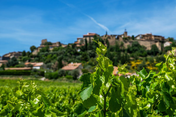 A Tale of Two Rhônes: The North, the South, and the Space Between