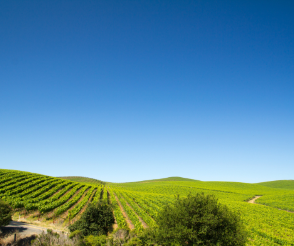 The Spirit of Sonoma