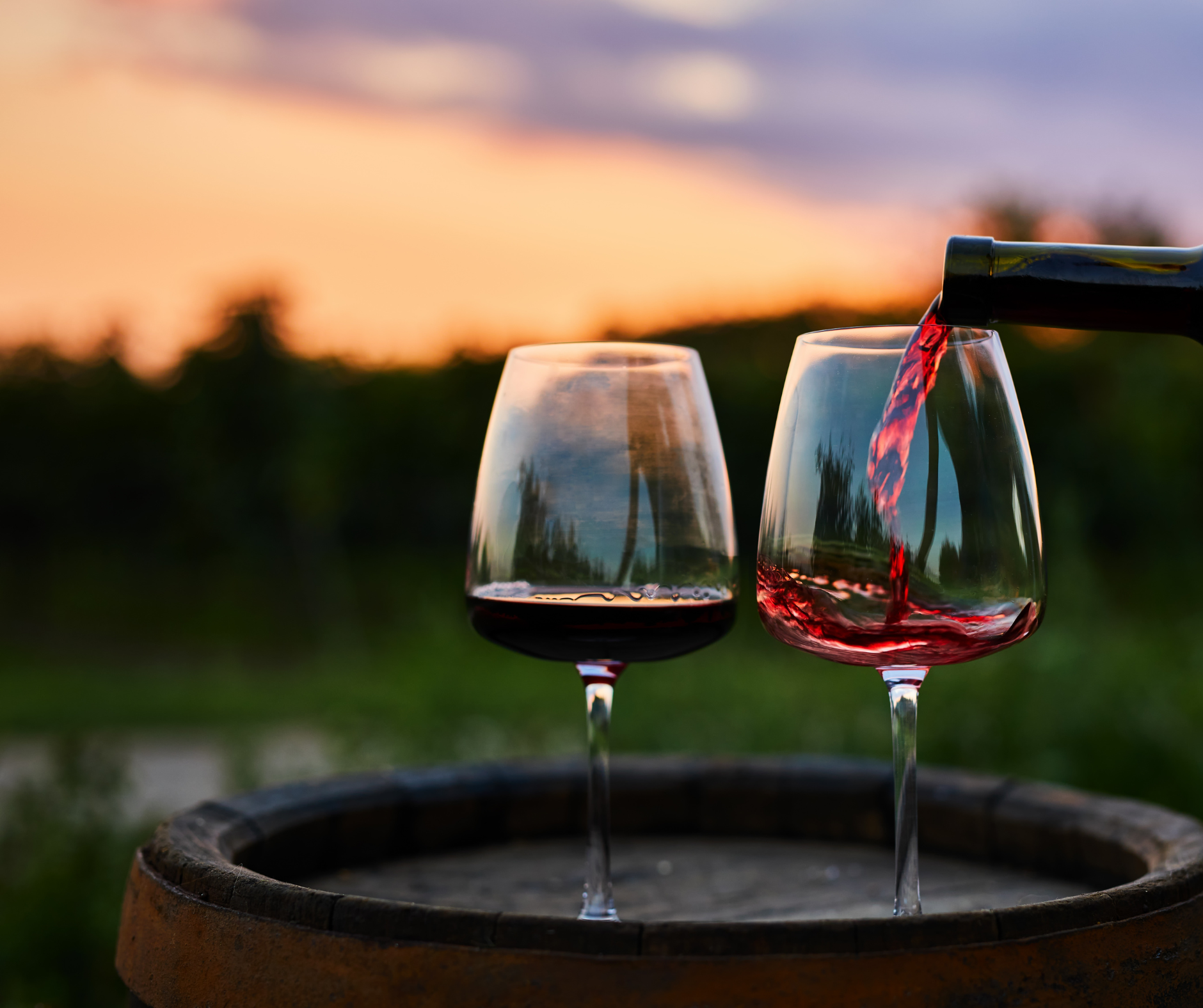 Why We Save Wine for Special Occasions
