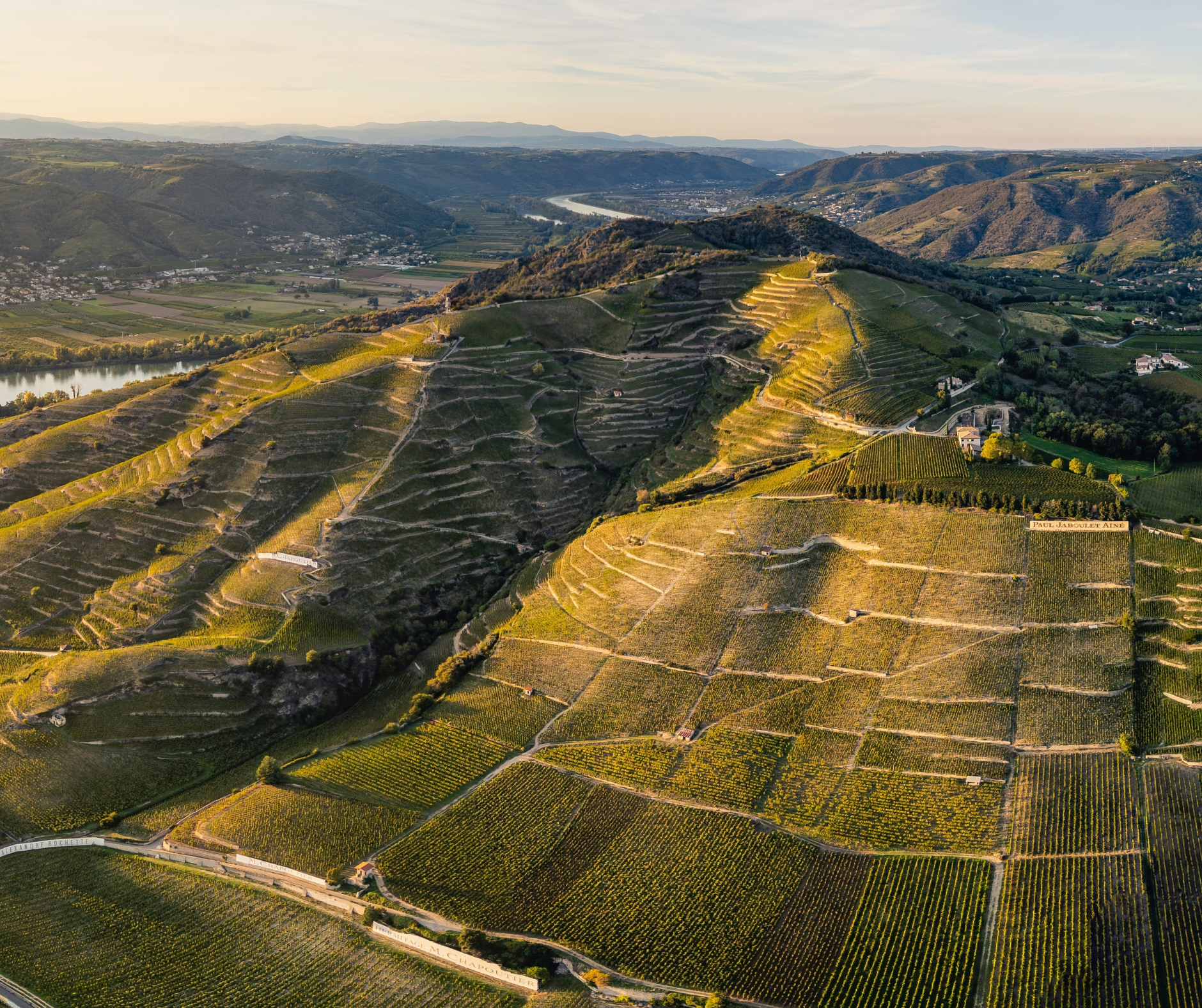 Rhône Wine Trends