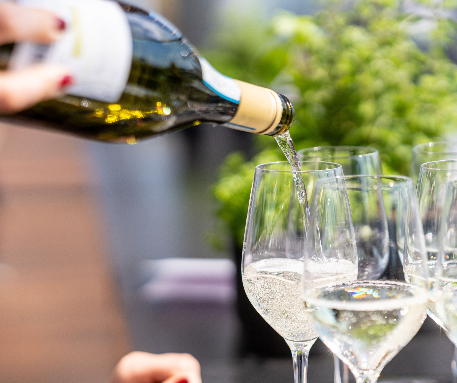 At the Table: Wines for Meaningful Gatherings