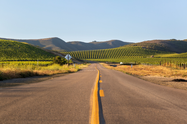 The Ultimate Journey Through West Coast Wine